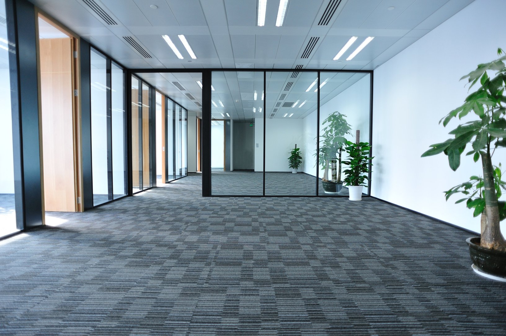 Empty modern office with glass partitions and plants